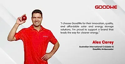 Headshots Adelaide Goodwe Alex Carey 02